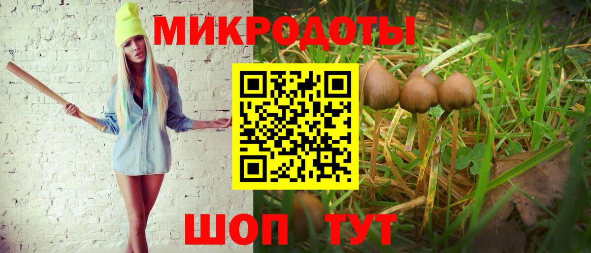 Псилоцибиновые грибы Psilocybe Щёлково